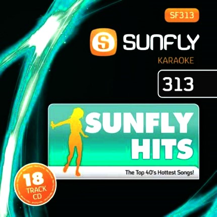 Sunfly Hits 313 - Karaoke-CD+G