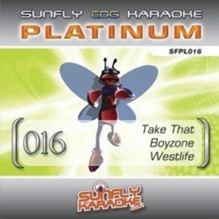 sunfly platinum sfpl016 Karaoke