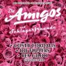 CD-Shop – Die Amigos und Schlagerfreunde